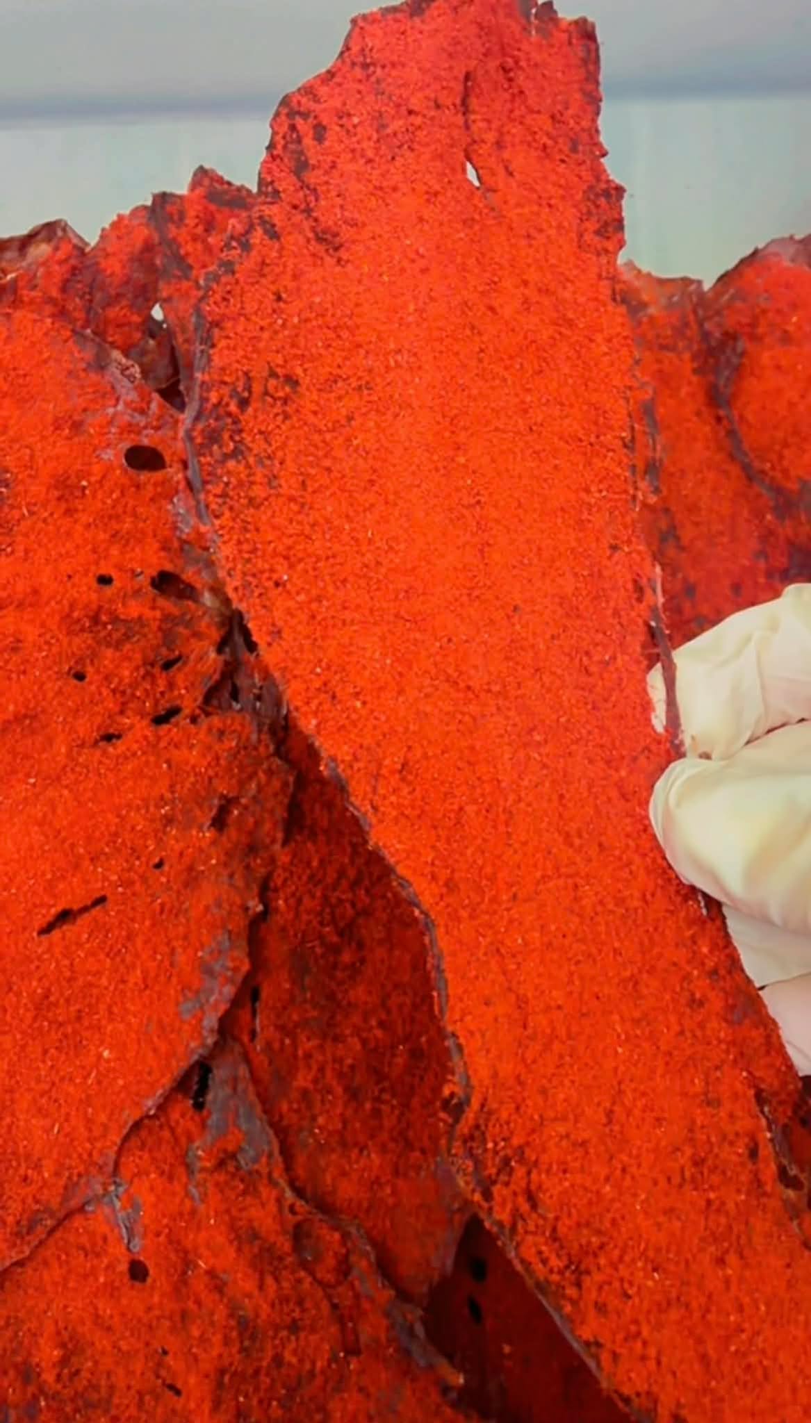 FIRE BEEF JERKY (CARNE SECA )